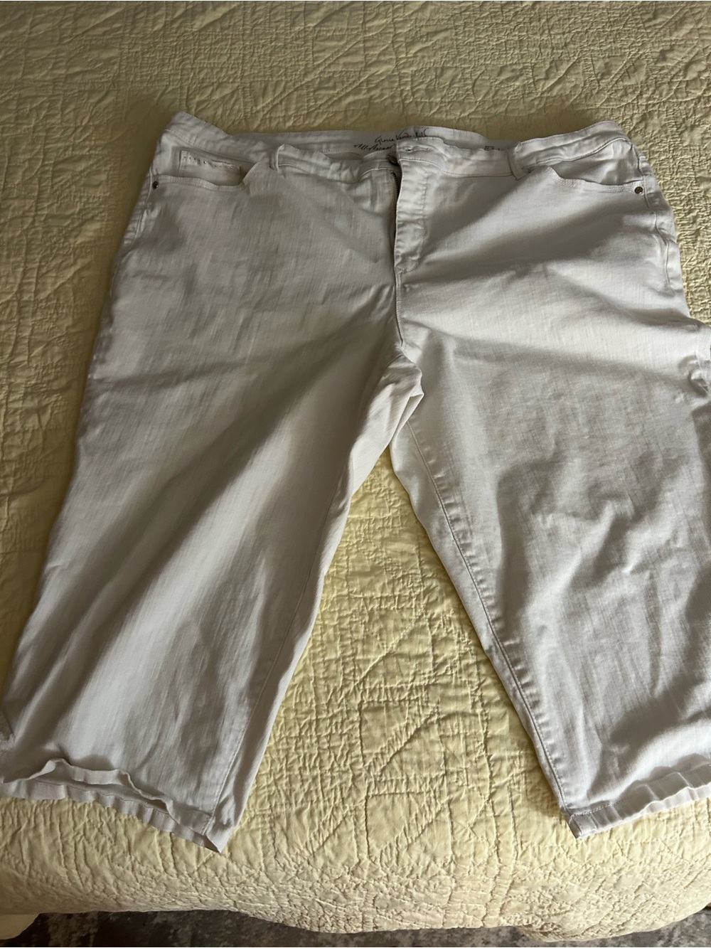 Gloria Vanderbilt White Capris size 24W